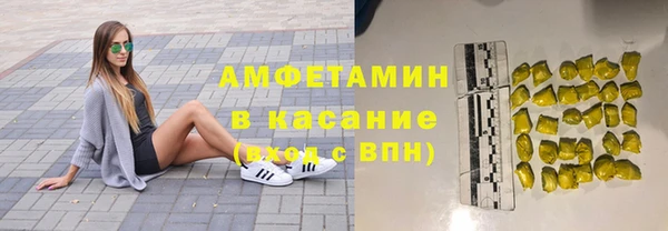 шишки Заволжск
