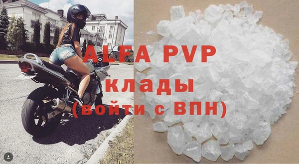 шишки Заволжск