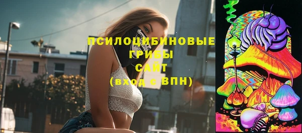 шишки Заволжск