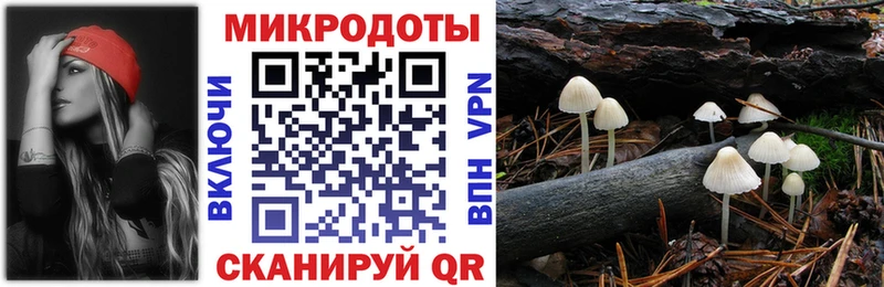 Псилоцибиновые грибы Psilocybine cubensis Купить Злынка